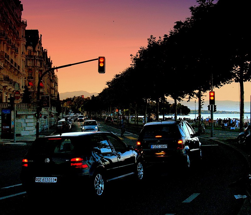 בין הערביים ליד האגם .