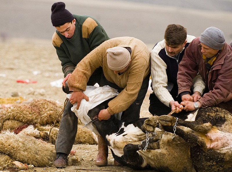 חג הקורבן 2007