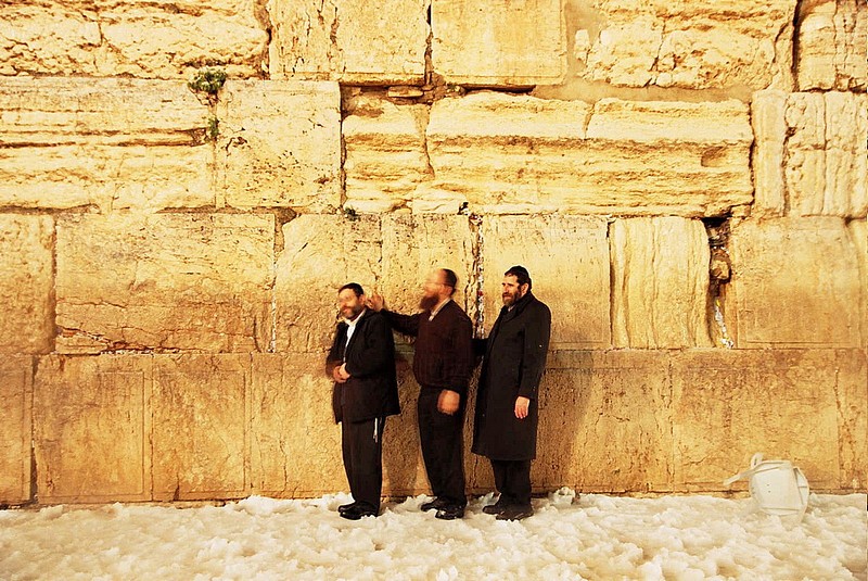 צילום: דקל אבו