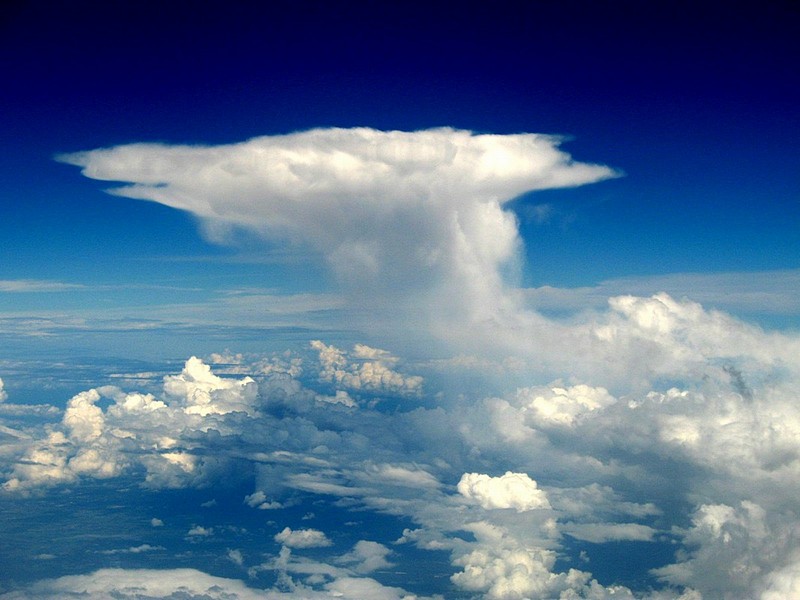 mushroom in the sky