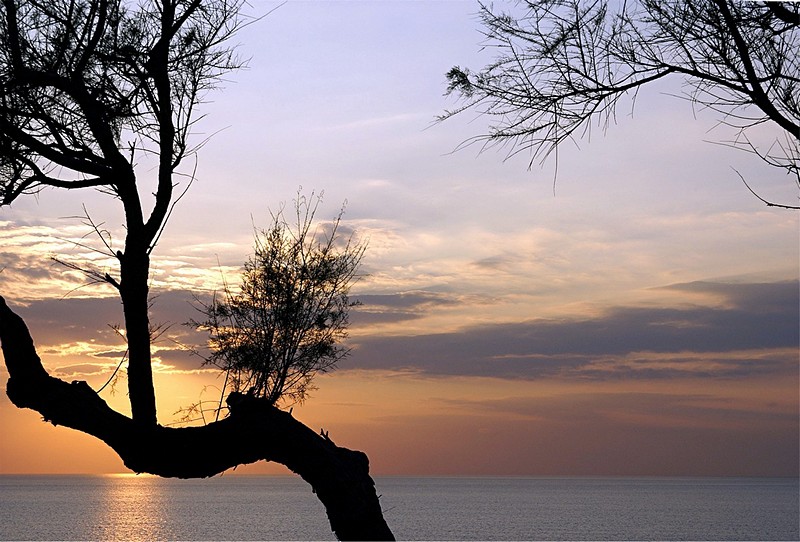 שקיעה נתנייתית