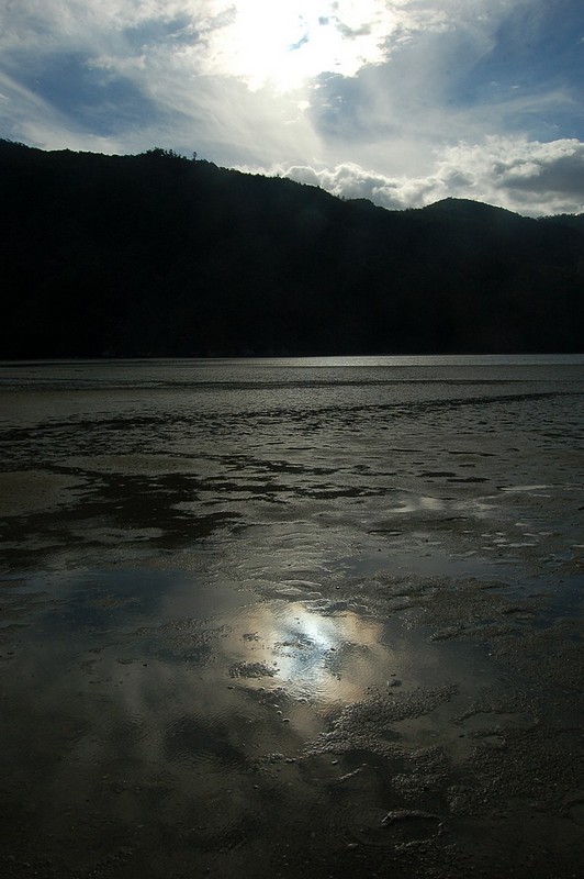 צילום: בני טלמן