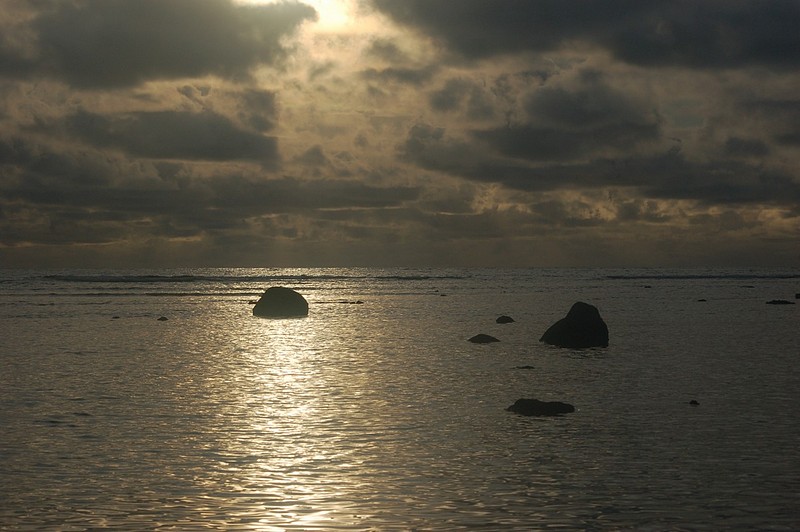 צילום: גל שטופלר
