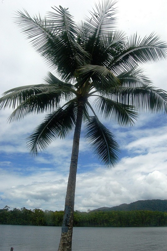 צילום: יעל סורין