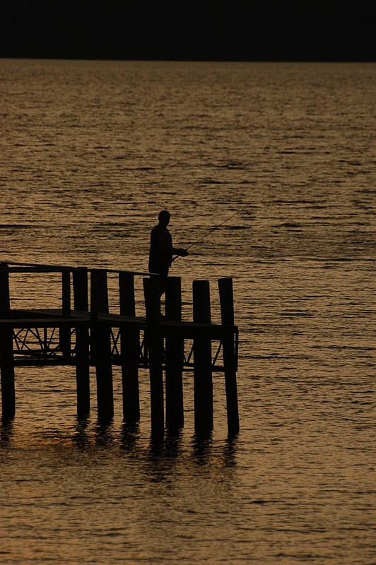 דייג על המזח