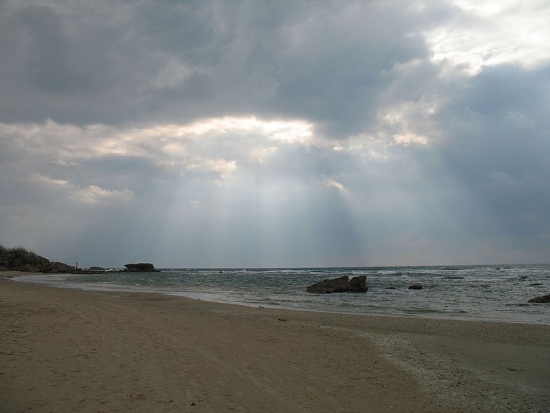 צילום: עינת עמית