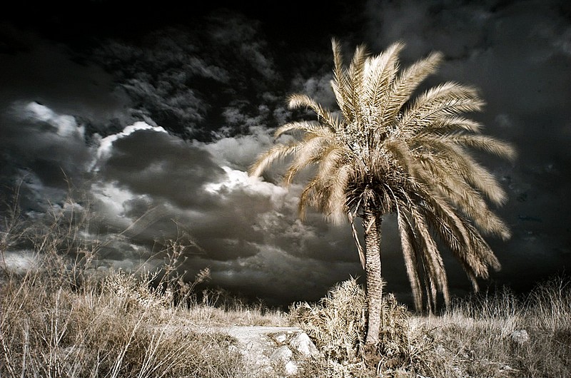 אל מול הסערה