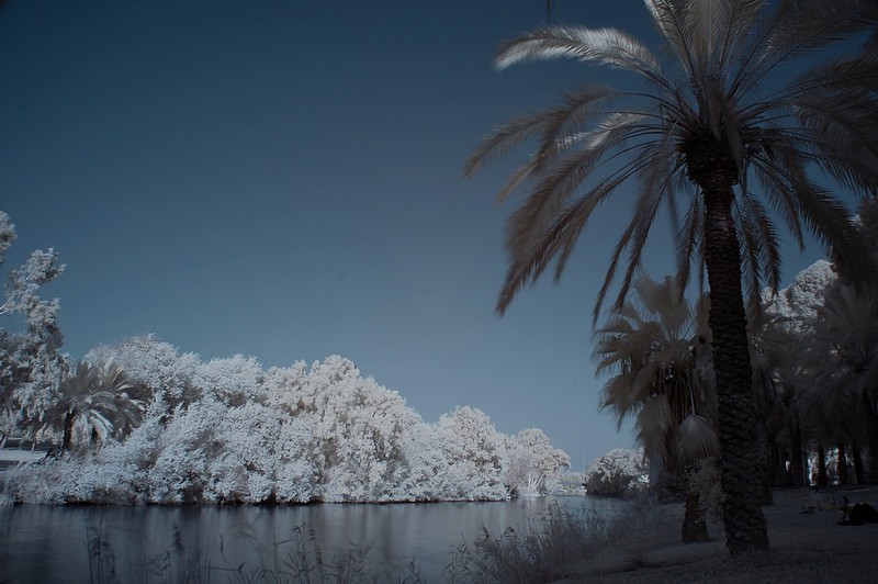 הירקון בגוון קצת שונה
