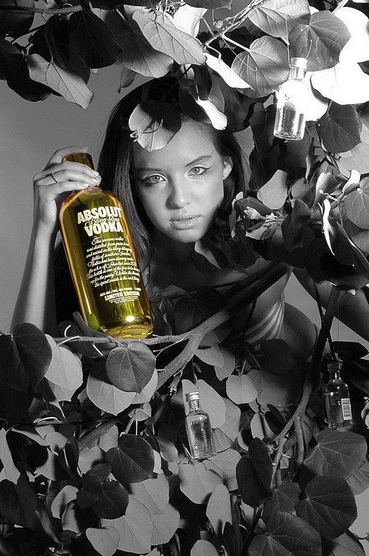 צילום: רועי מלול