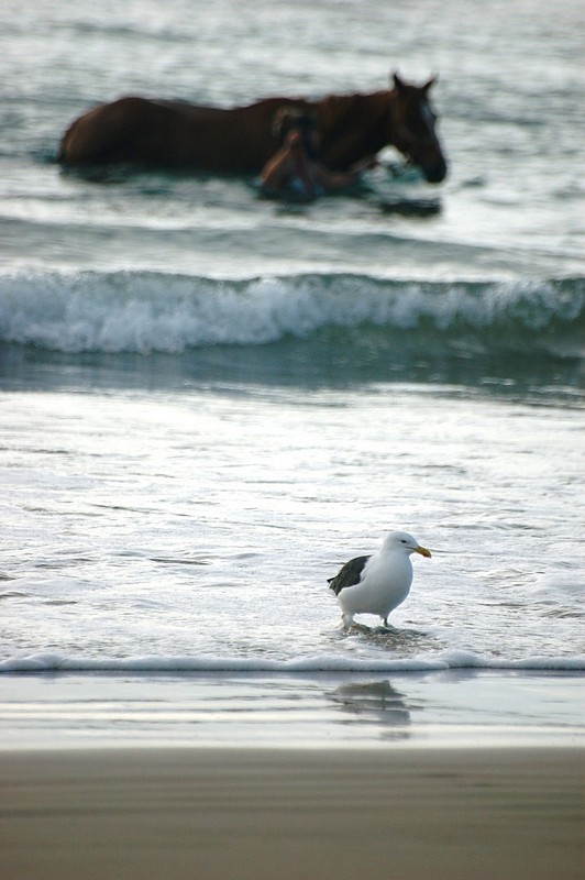 אחותי,בואי תצטרפי!