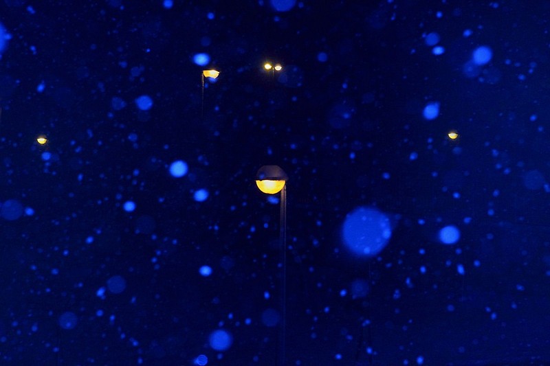 יורד לאור ליל