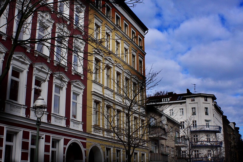 צילום: רון חיימוב