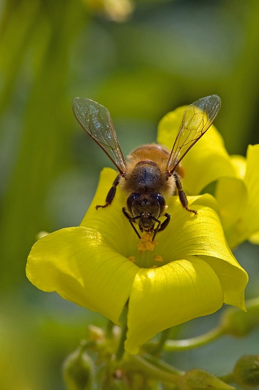 זווית קצת שונה