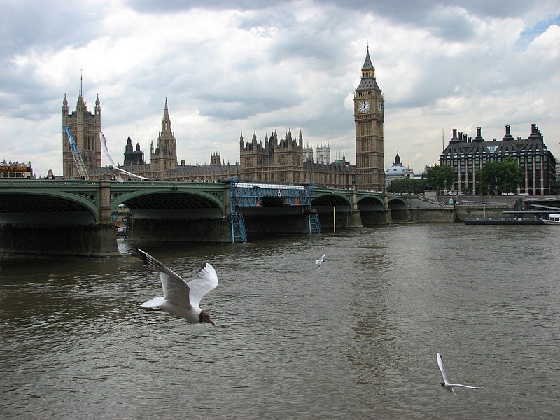 צילום: Ruvi Tamir