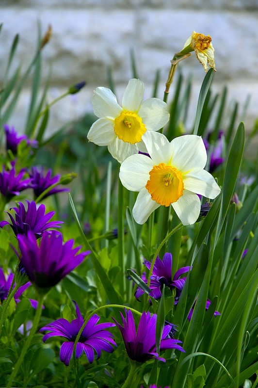 צילום: Yigal Hachmon