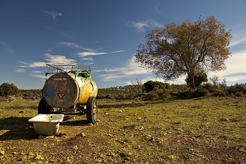 צילום: Yigal Hachmon