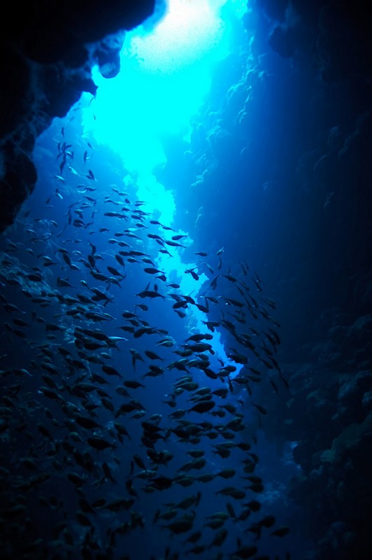 הקניון של דהב