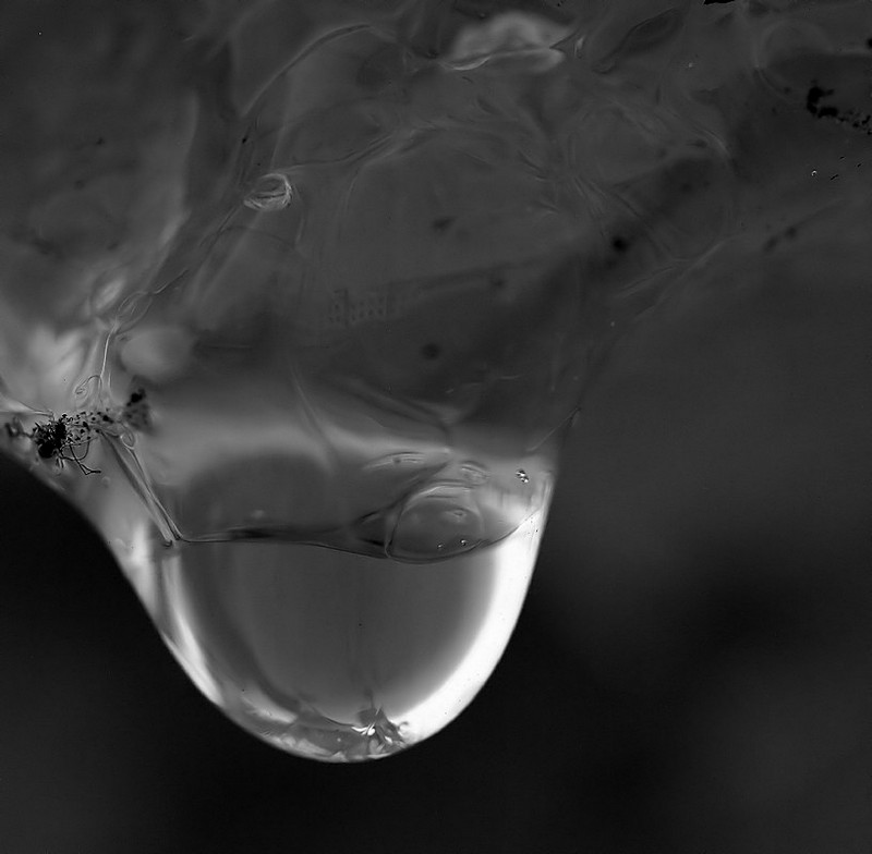 טיפה בהתהוות.