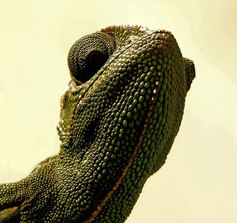 הי את למטה, לא להפריע