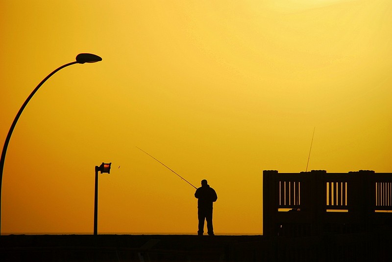 צילום: Ran Navok