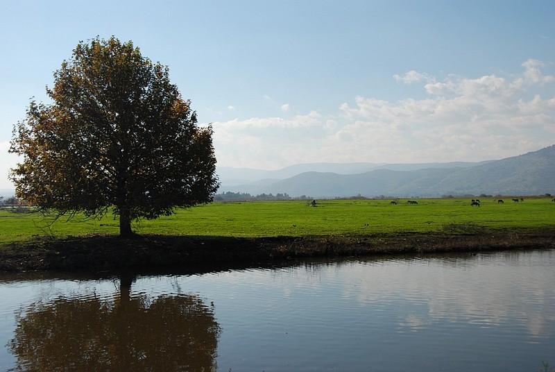 צילום: Ran Navok