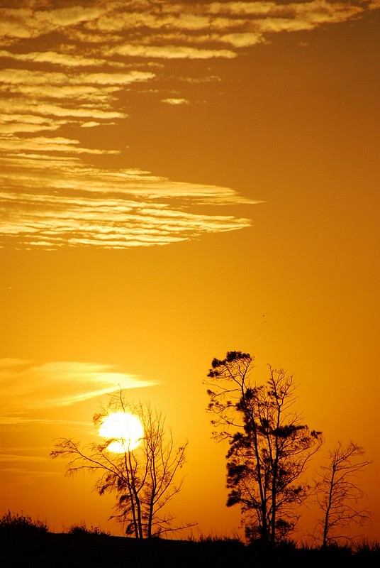 צילום: Ran Navok