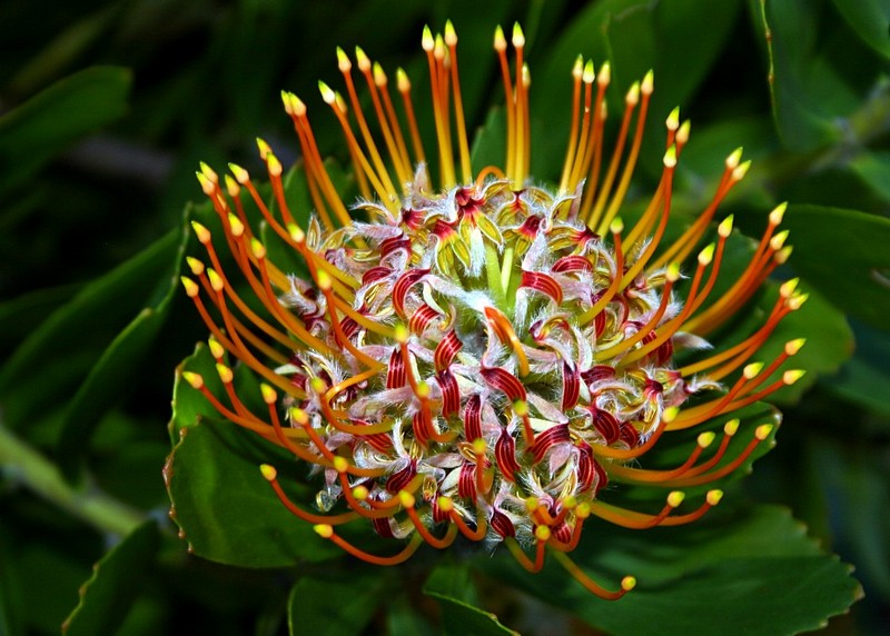 צילום: אסף ניר