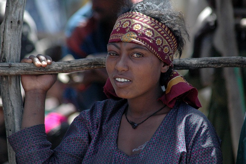 צילום: משה קנלר