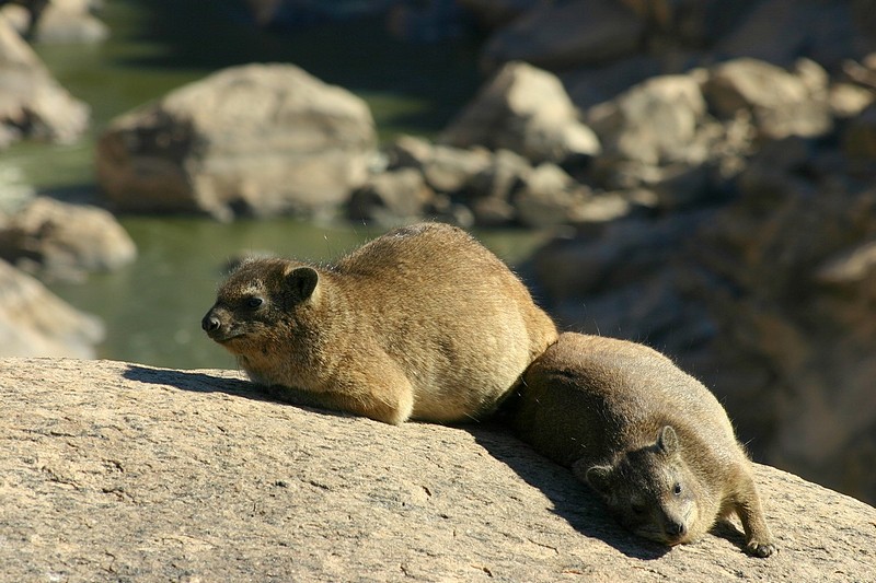 צילום: אסף ניר