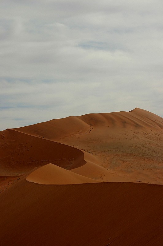 צילום: אסף ניר