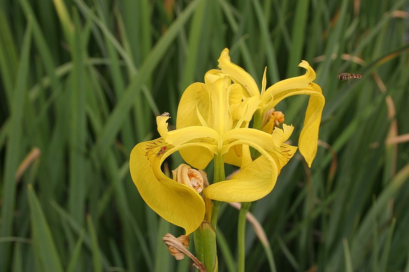 צילום: שחר סגל