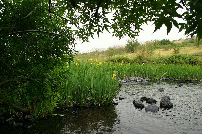 צילום: שחר סגל