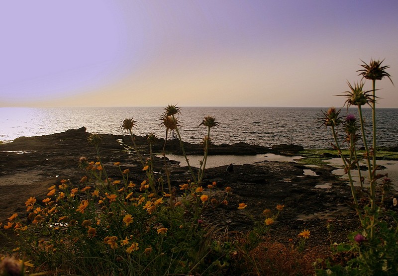 ארץ ישראל יפה..