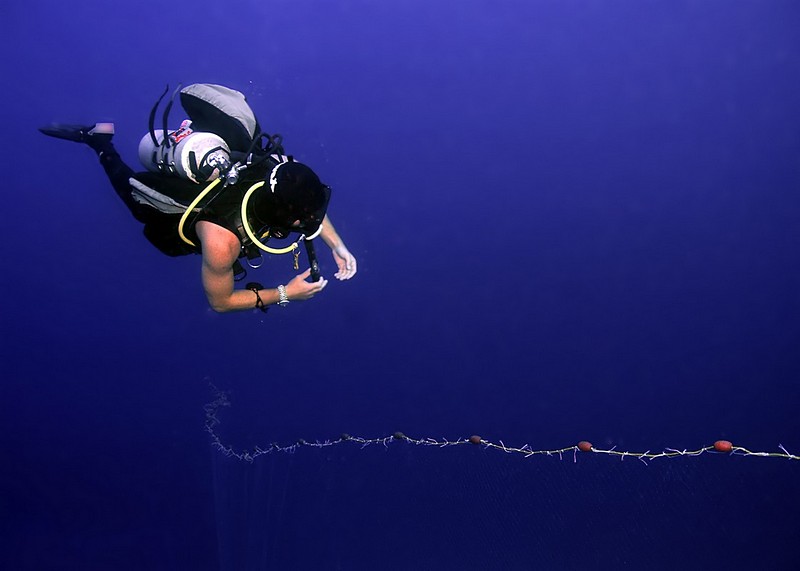 דייג לא חוקי