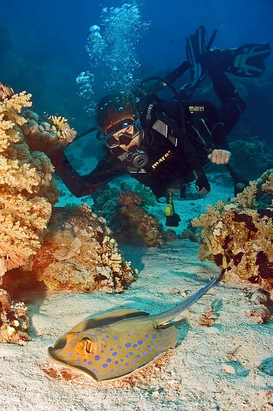 מפגש במצולות