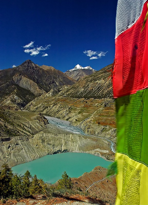 גאווה לאומית