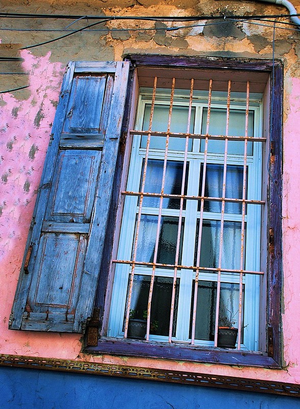 צילום: נועה שטרן