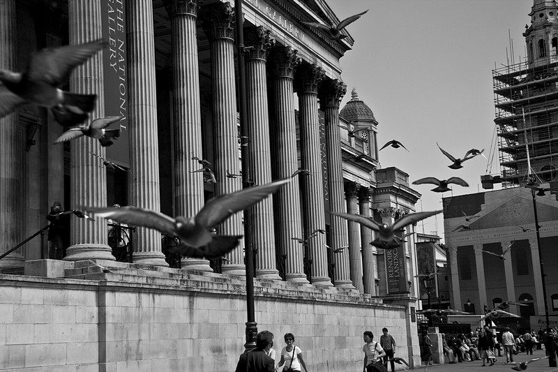 צילום: ערן מזרחי