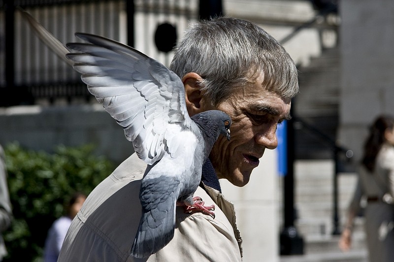צילום: ערן מזרחי