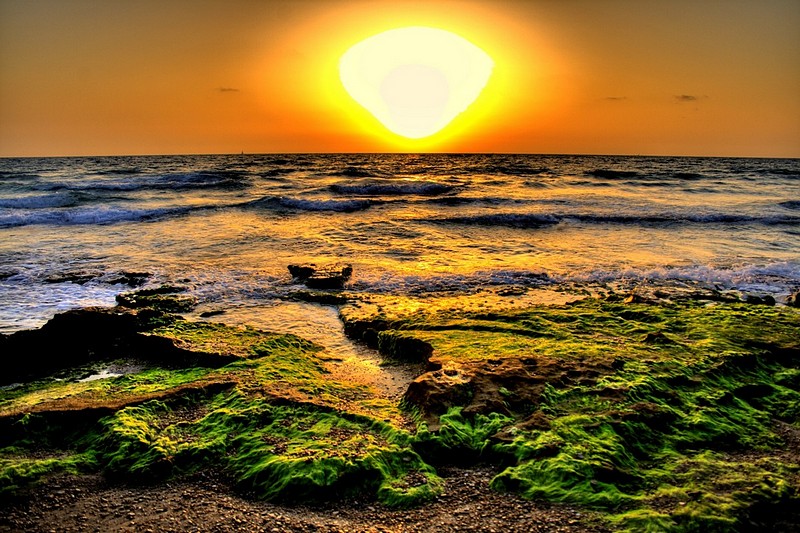 שבוע טוב לכולם