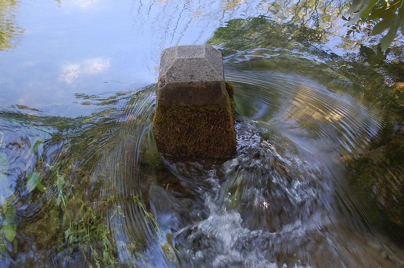 הפרדת כוחות
