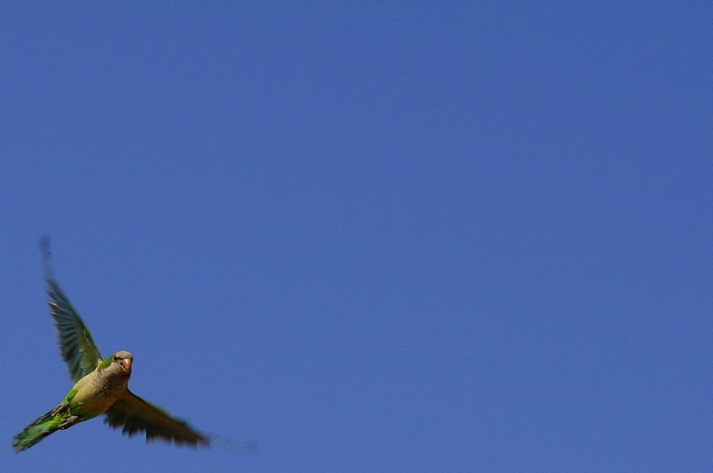 נכנסתי לפריים!!!!