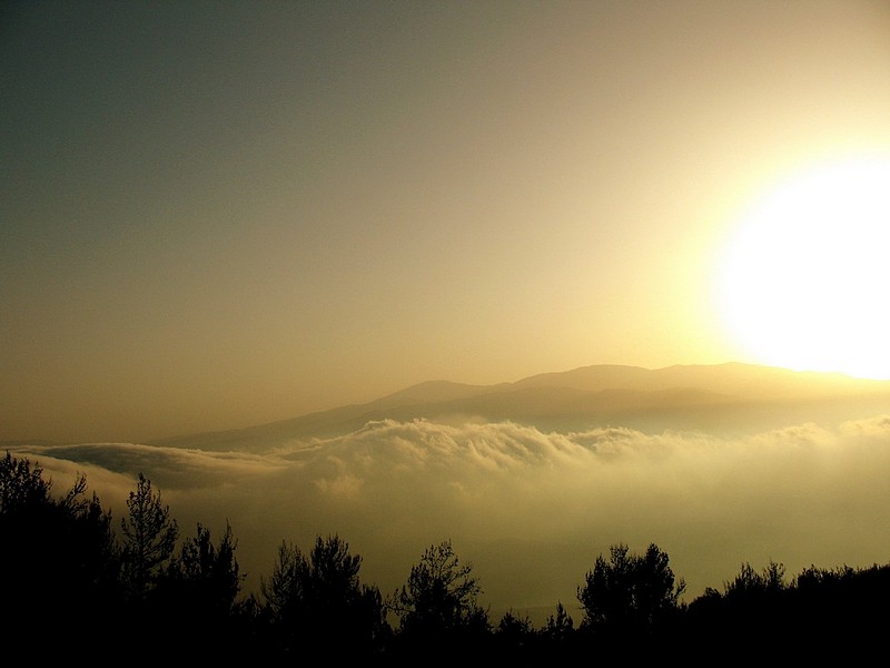 ערפל של בוקר