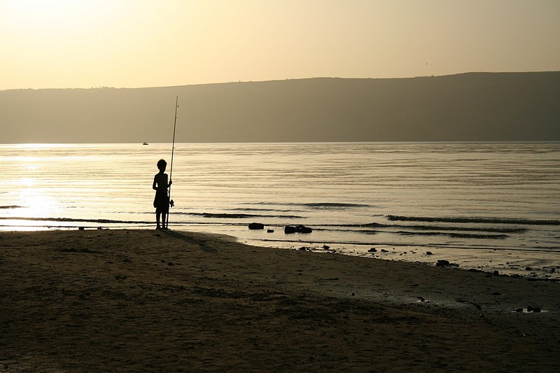 צילום: צחי שמש