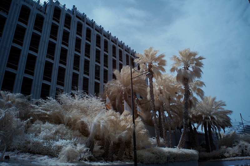 הילטון אילת בInfra Red