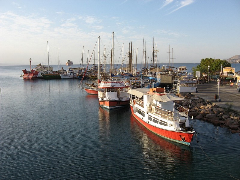 ספינות של בוקר