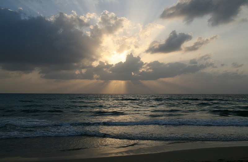 צילום: Vitali Gil