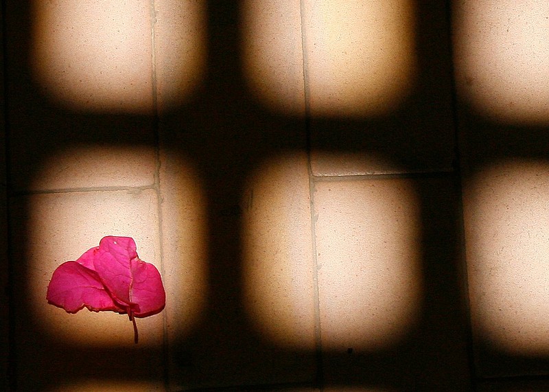 מישחקי קיץ.