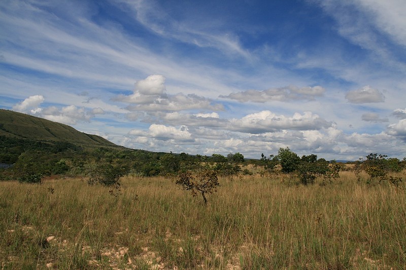 צילום: Vitali Gil