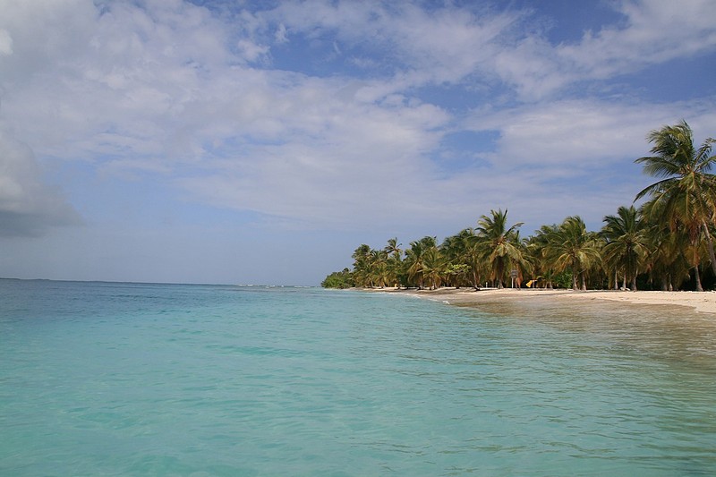 צילום: Vitali Gil